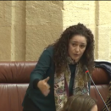inmaculada-nieto-en-sesion-en-el-parlamento-andaluz